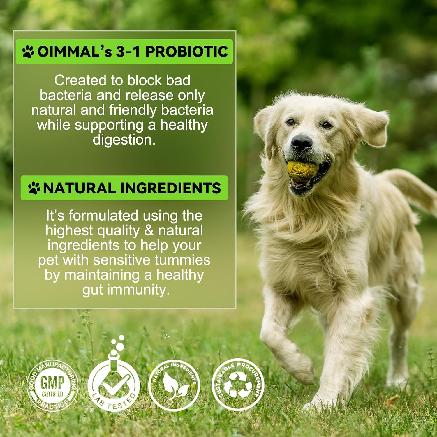Probiotics for Dogs, 3-in-1 Dog Probiotics, Dog Probiotics for Digestive Support, Dog Probiotic Supplements, Pet Probiotics for Dogs, Liquid Probiotics for Dogs | 60 ml - görsel 6