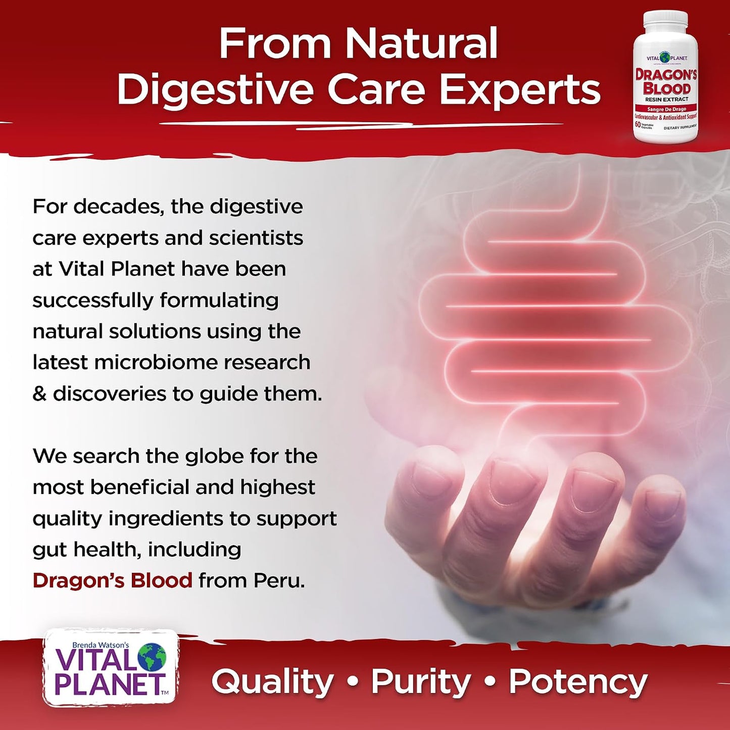 Vital Planet Dragon's Blood Resin Extract – 500mg, 60 Capsules - görsel 4