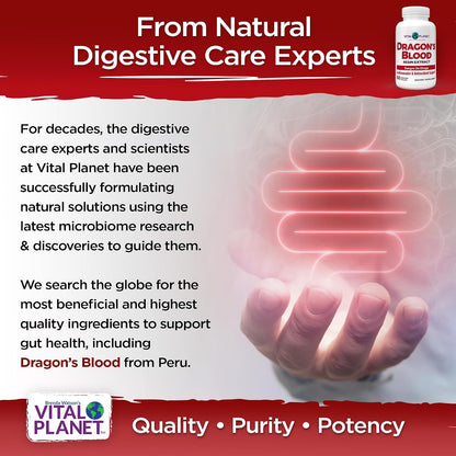 Vital Planet Dragon's Blood Resin Extract – 500mg, 60 Capsules
