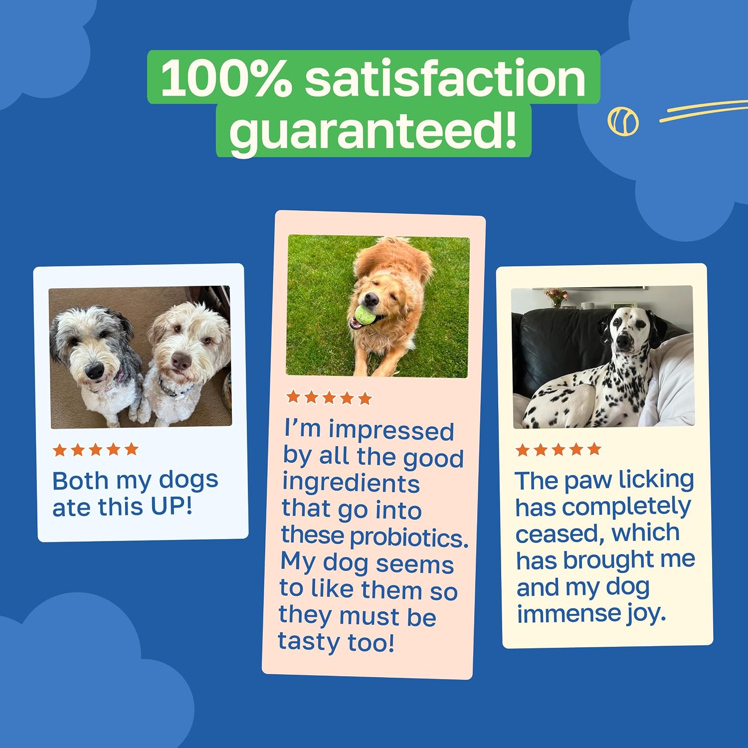 Happy Paws Probiotics for Dogs, Gut Health, Skin, Coat & Immune Support Supplement for All Breeds & Ages, Made with Coconut Oil & Vitamin E, Vegan Chicken Flavour, Organic, Non-GMO, 100 Soft Chews - görsel 6