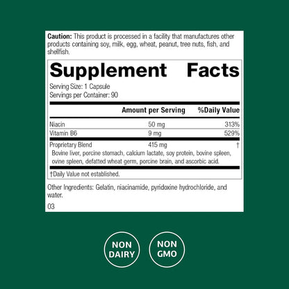 Standard Process Niacinamide B6 – Energy & – Nervous system function: B6 contributes to normal nervous system – Image 2
