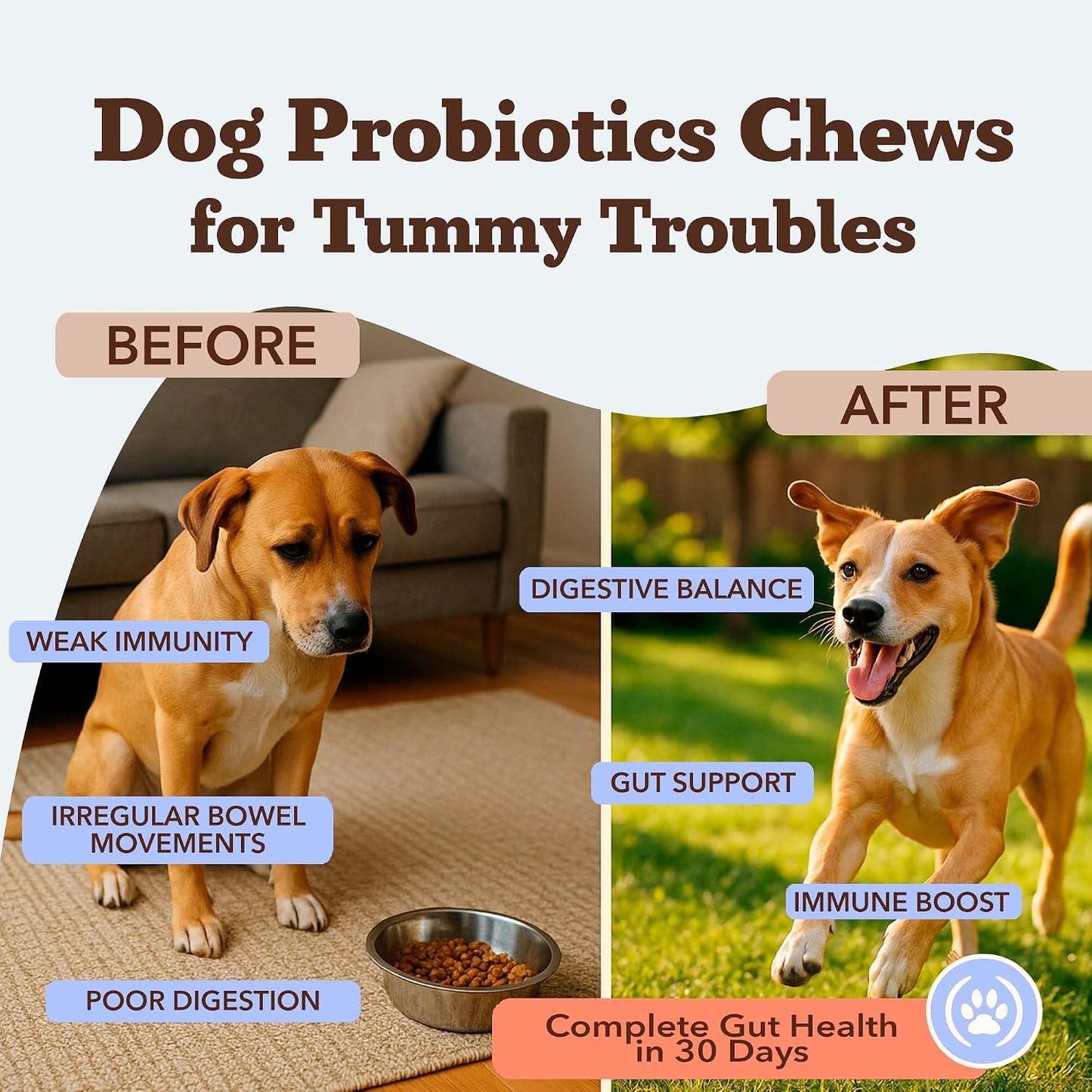 Natural Dog Company Probiotics for Dogs – Dog Probiotic Chews with 1B CFU, Canine-Specific Microencapsulated Strains, Prebiotics & Enzymes for Digestive Health, Stool Quality & Immune Support, 45 Chews - görsel 2
