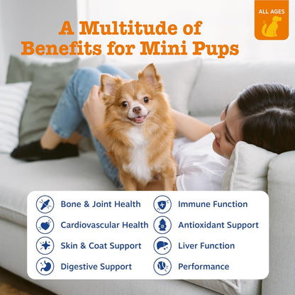 Zesty Paws Dog Multivitamin - Chewable Chicken Mini Bites (90ct)