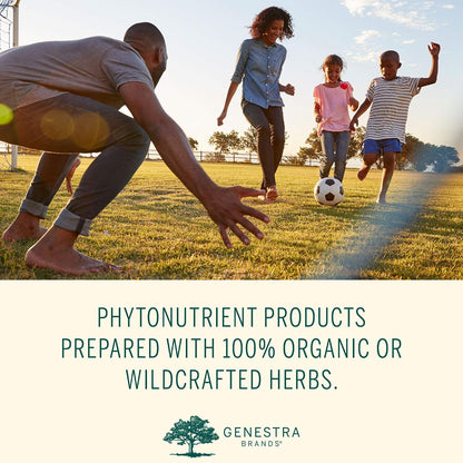Genestra Brands Phyto Greens Capsules – 180 Capsules