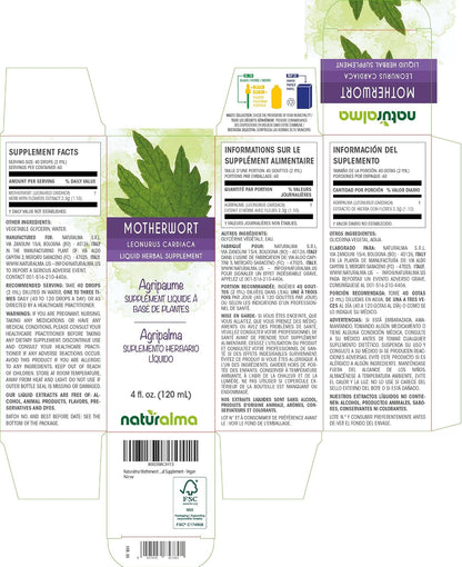 Naturalma Motherwort (Leonurus cardiaca) Herb and Flowers Alcohol-Free Tincture - 120 ml Liquid Extract in Drops - Herbal Supplement - Vegan