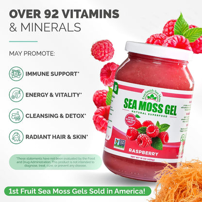 Wildcrafted Irish Sea Moss Gel – Raspberry (473 ml)