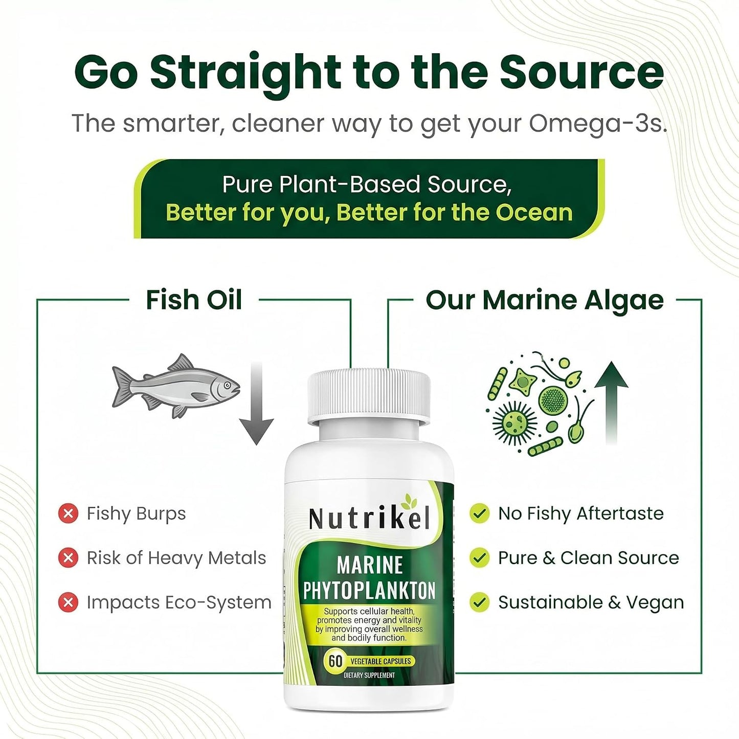 Marine Phytoplankton Omega-3 Supplement – Plant-Based Algae Capsules for Energy, Focus and Cellular Support - görsel 4