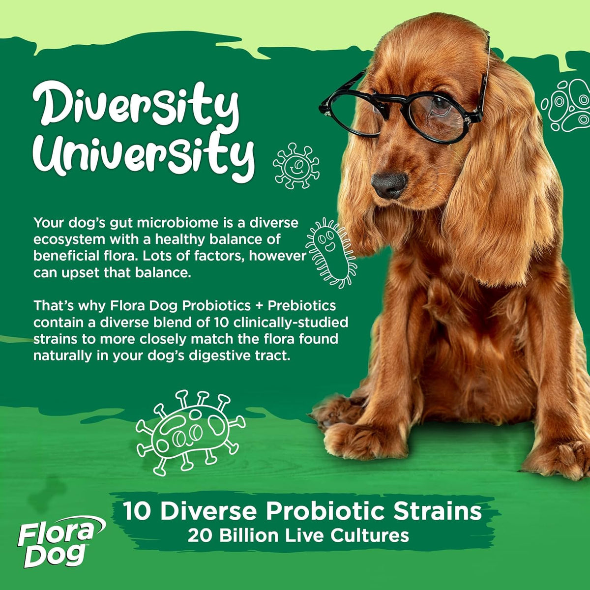 Vital Planet Flora Dog Probiotic Capsules for Dogs – 20 Billion Cultures & 10 Strains - görsel 3