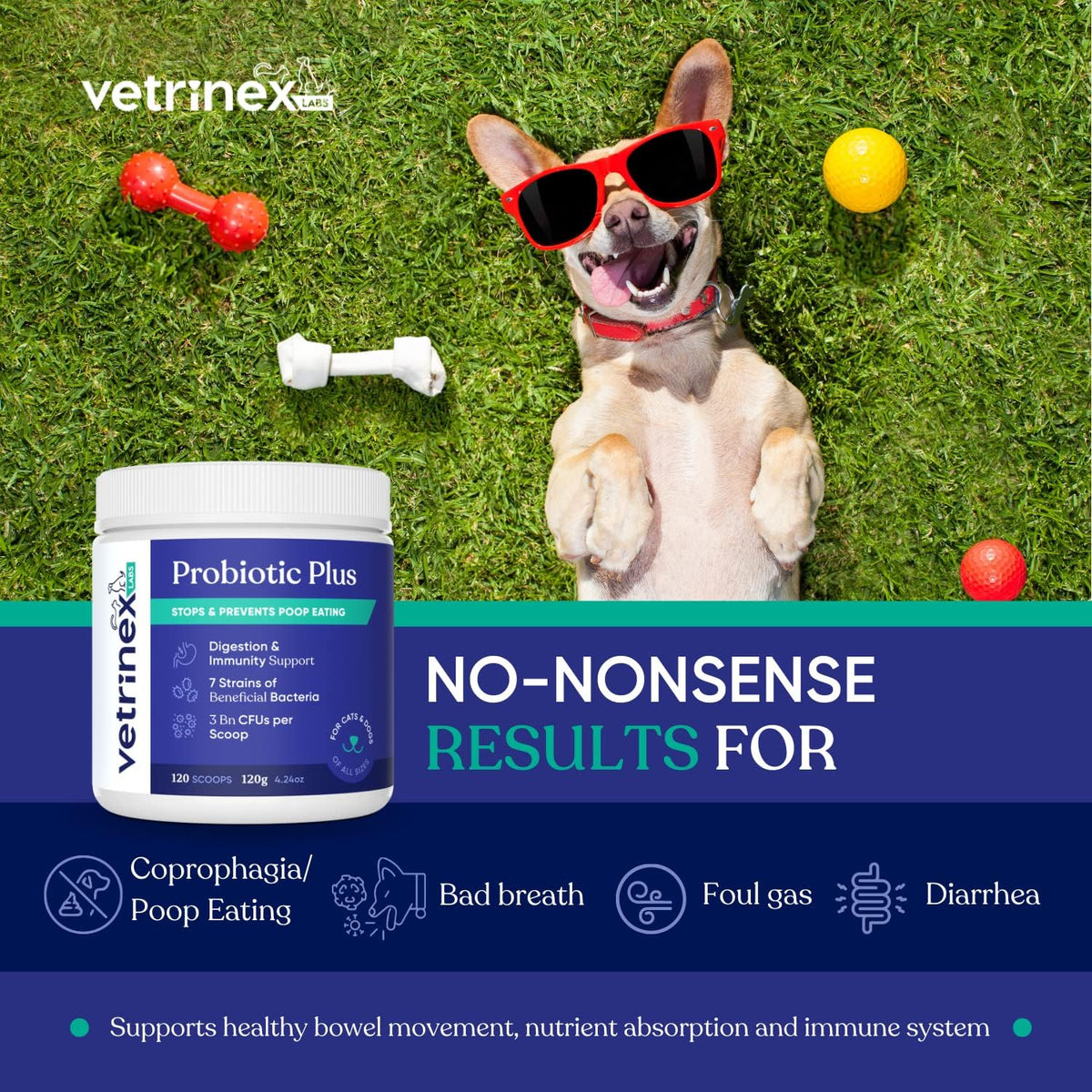 Vetrinex Labs Probiotic Powder for Dogs – Coprophagia Deterrent & Digestive Support - görsel 1