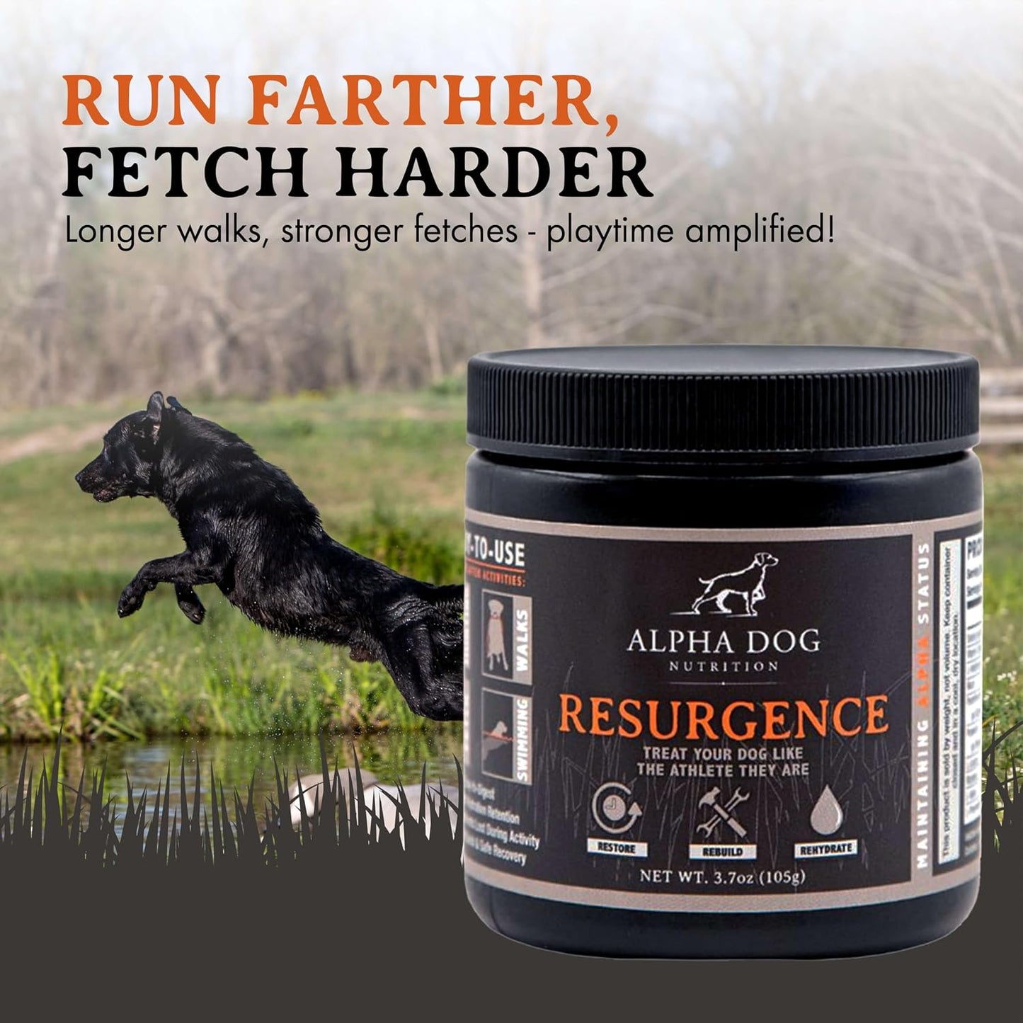 Alpha Dog Nutrition Electrolytes for Dogs - PhD Formulated Hydration Supplement with Beef Flavour for Active Canines - görsel 4