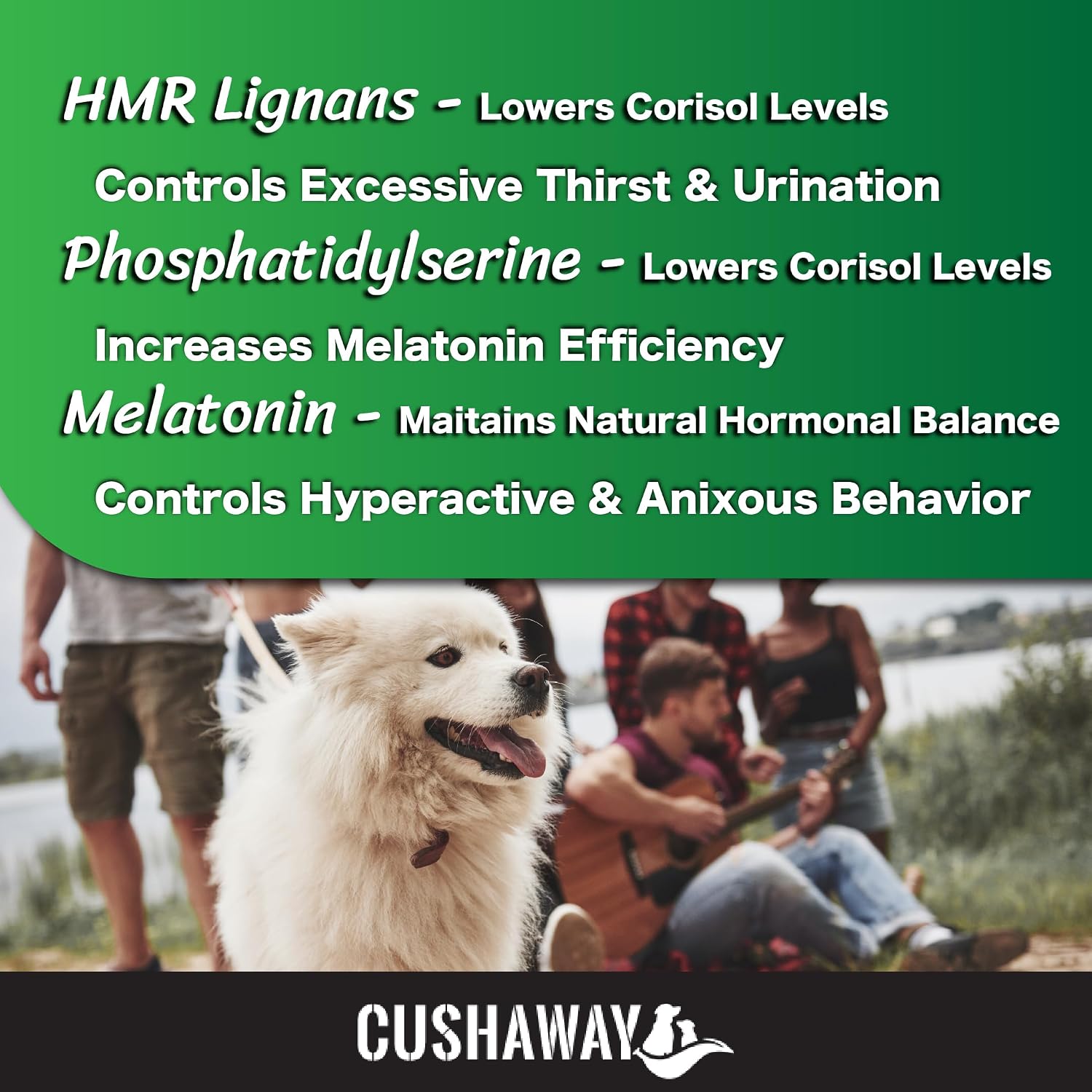 CushAway Cushing's Disease All-Natural Nutritional Supplement for Dogs - görsel 8