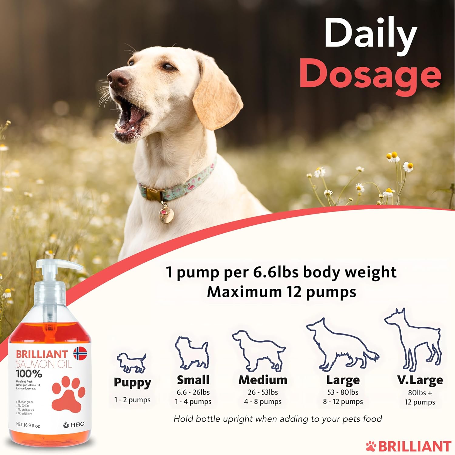 Brilliant Norwegian Salmon Oil for Dogs, Cats, Horses & Ferrets - Pure Omega 3, 6 & 9 Fish Oil Food Supplement for Natural Coat, Immune Support, Itchy Skin, Joint & Brain Health - 2x500 ml - görsel 7