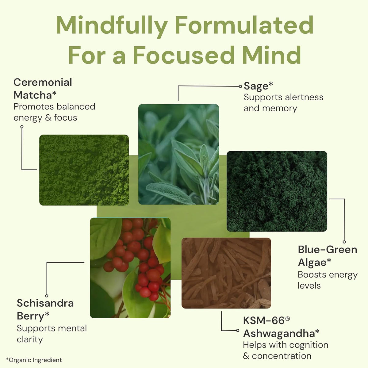 ION* Focused Mind Nootropic Powder Drink Mix - Matcha & Adaptogen Blend for Memory, Focus & Relaxation - 20 Sachets - görsel 4