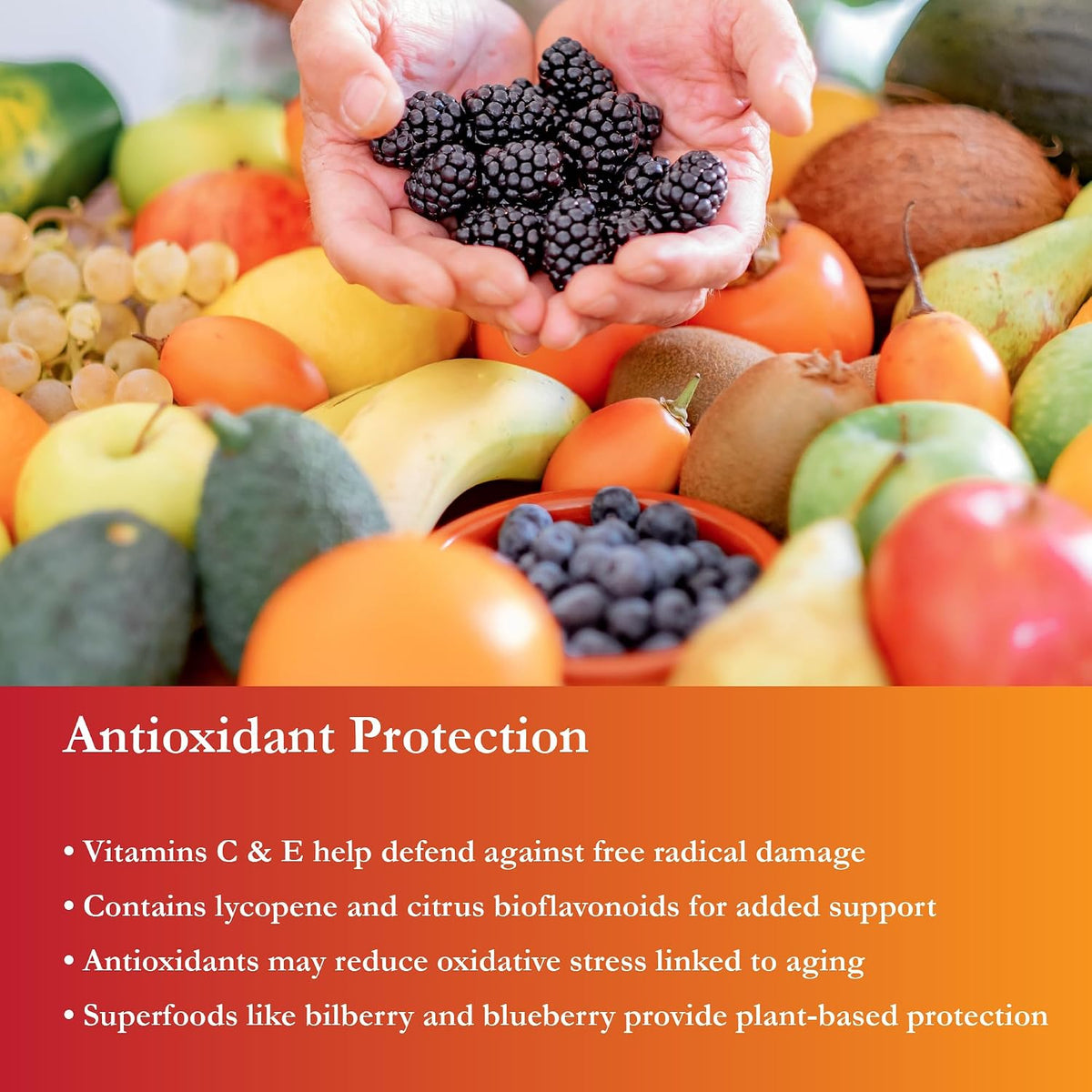 Buried Treasure Active 55 Plus Liquid Multivitamin for Seniors - Vegan, Sugar-Free, Superfood Blend - görsel 6