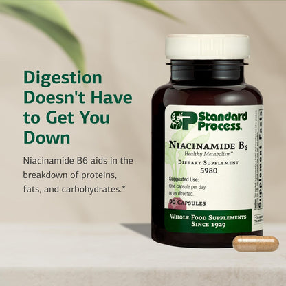 Standard Process Niacinamide B6 – Energy & – Cardiovascular support: Niacinamide helps maintain healthy – Image 3