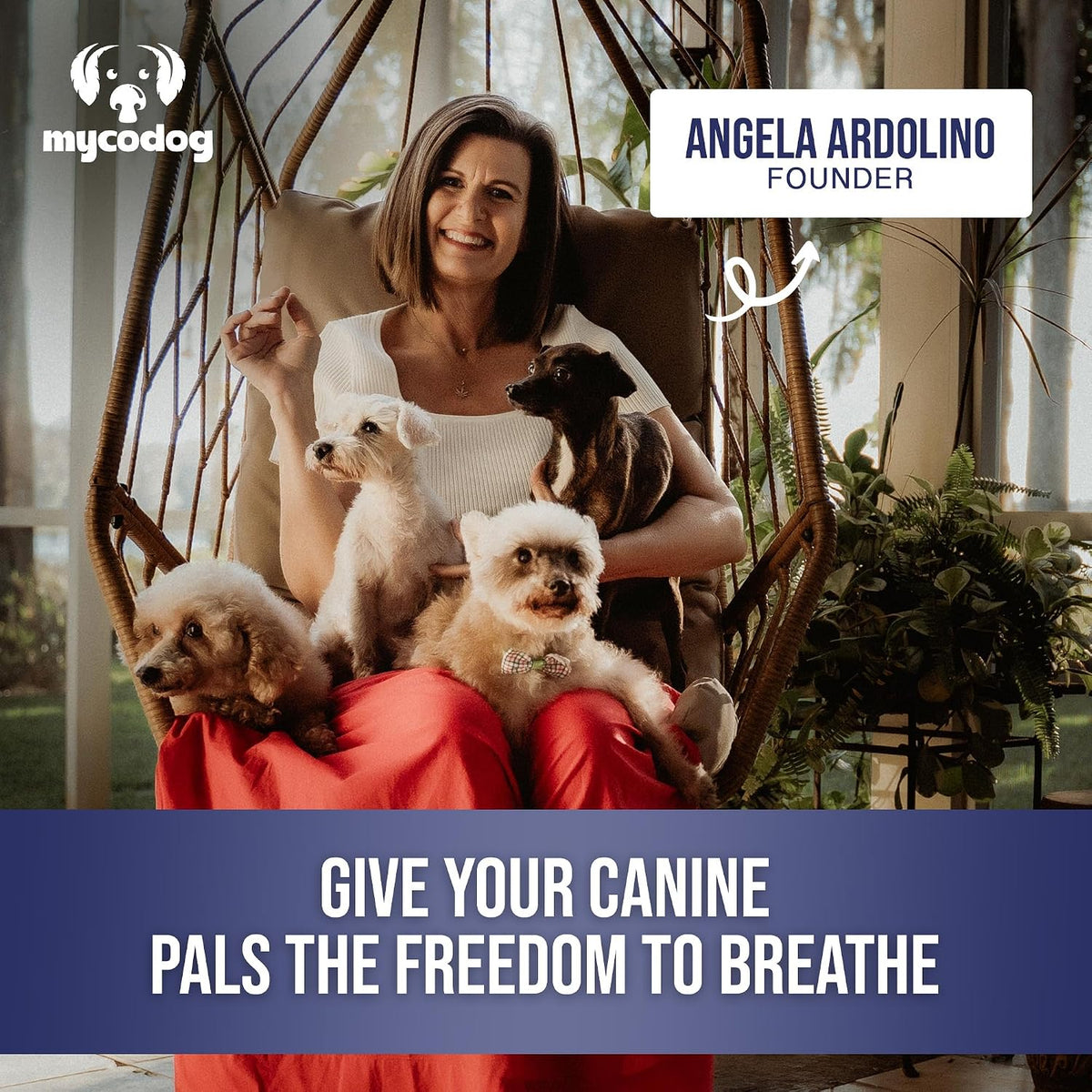 MycoDog Breathe - Respiratory Support for Dogs - Natural Mushroom & Ashwagandha Drops for Breathing Comfort - görsel 5