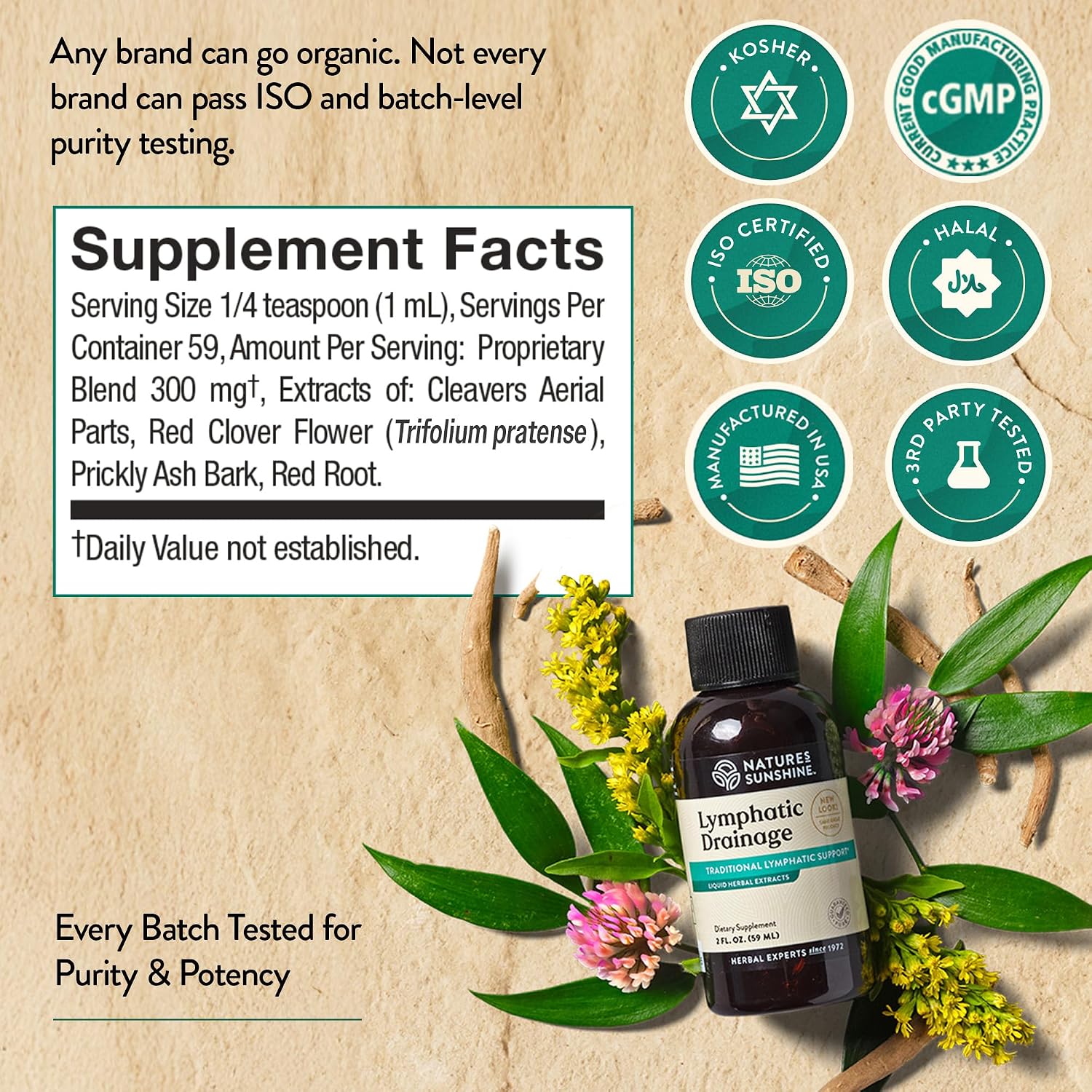 Nature's Sunshine Lymphatic Drainage Drops - görsel 6