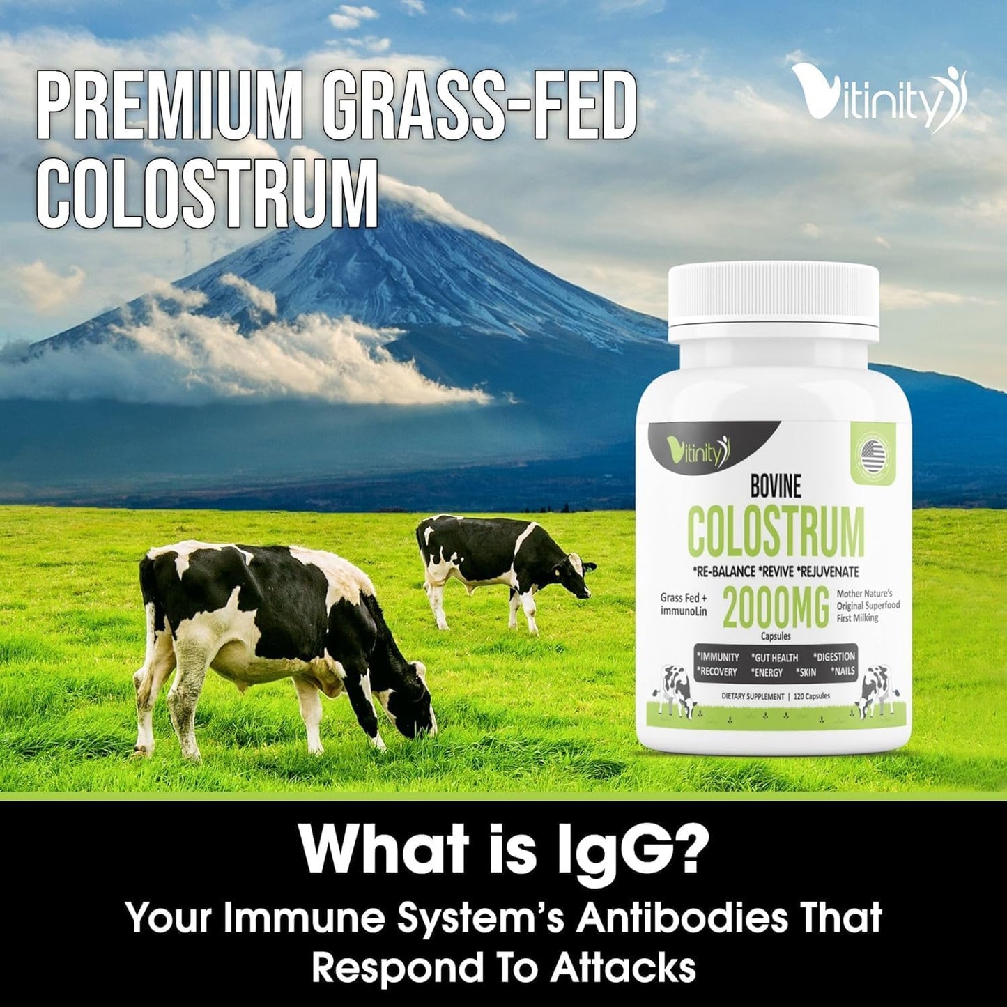 VITINITY Grass-fed Bovine Colostrum Capsules – Natural IgG Supplement for Digestive Health, Immune Support & Muscle Recovery (120 Capsules) - görsel 8