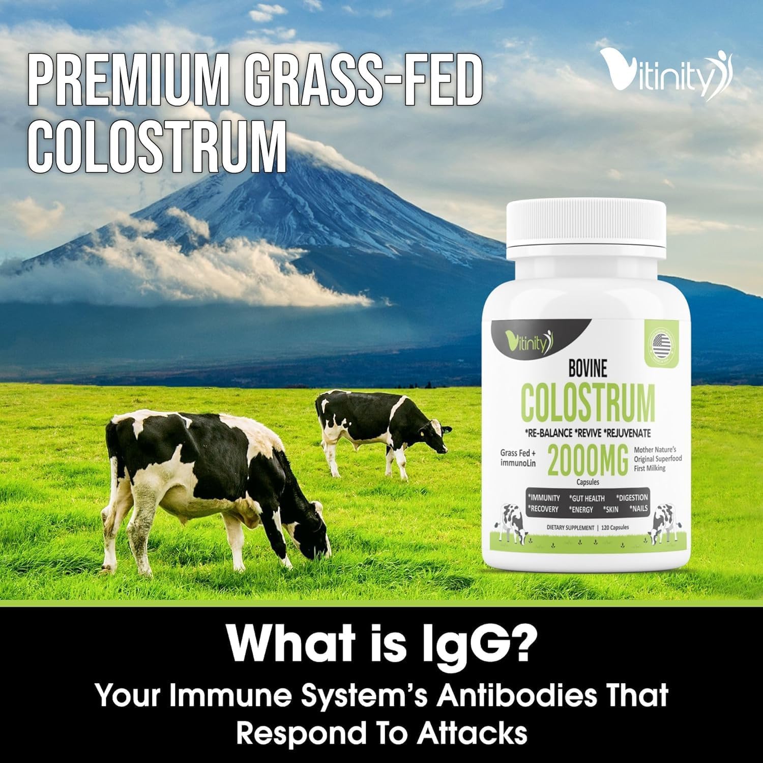 VITINITY Grass-fed Bovine Colostrum Capsules – Natural IgG Supplement for Digestive Health, Immune Support & Muscle Recovery (120 Capsules) - görsel 8
