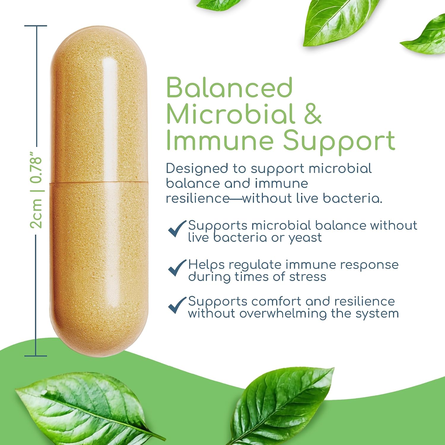 Herbal Biotic Immune Support Supplement - Natural Cat's Claw & Herbal Blend for Probiotic Balance and Digestive Health (120 Vegan Capsules) - görsel 4