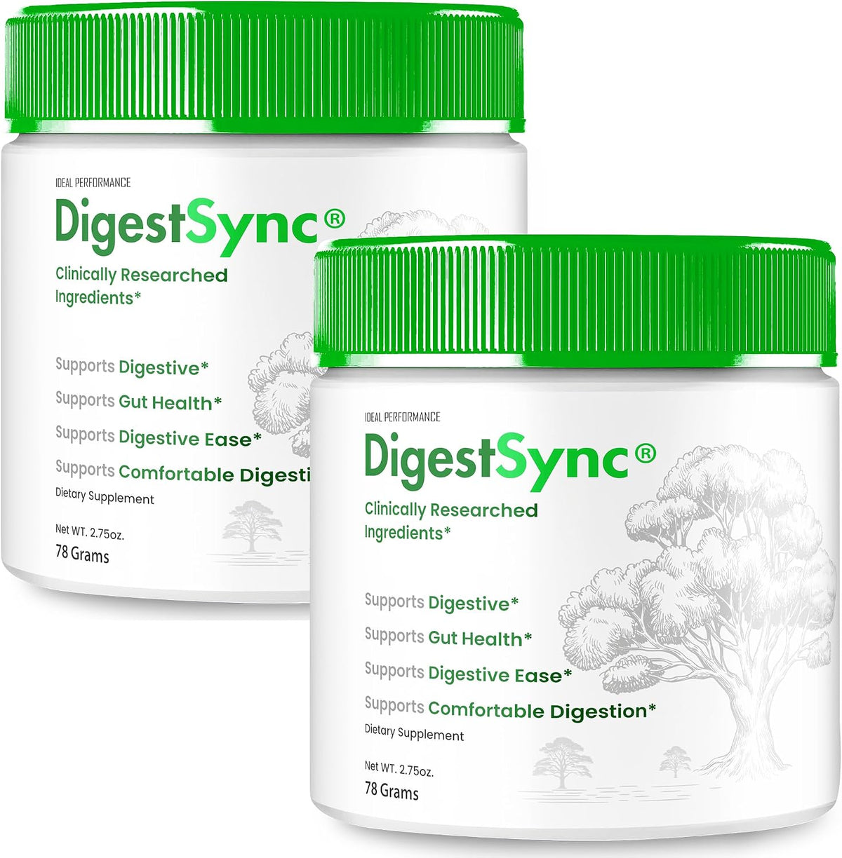 DigestSync Gut Health Powder - Advanced Formula, All Natural Digestive Support (Pack of 2) - görsel 1