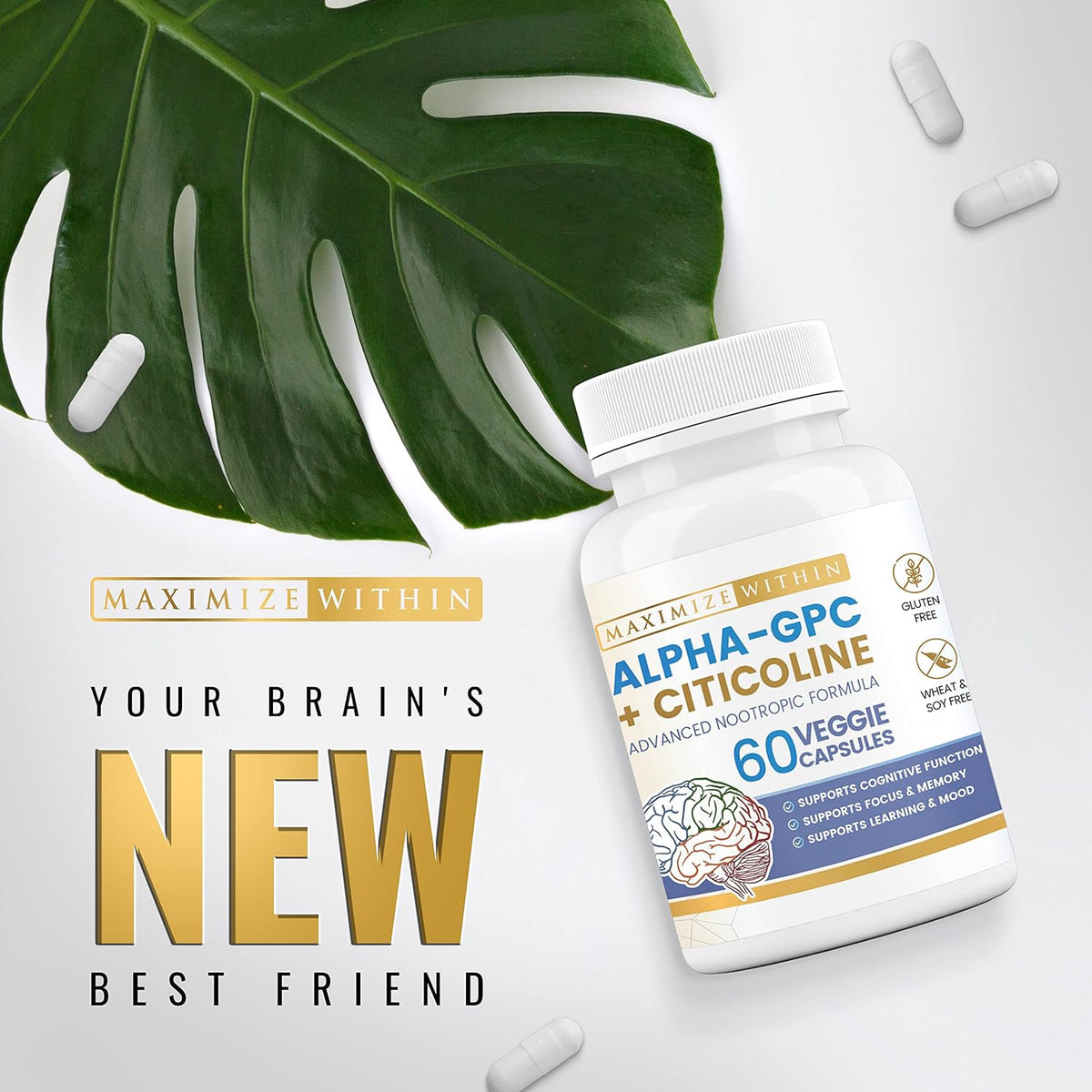 Alpha GPC + Citicoline 60 Capsules, 1600mg Concentrated Formula – Cognitive Support - görsel 9