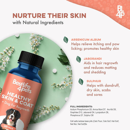 Natural Dog Skin and Coat Supplement – Gentle Itch Relief & Shedding Support – 400 Tiny Odourless Pills