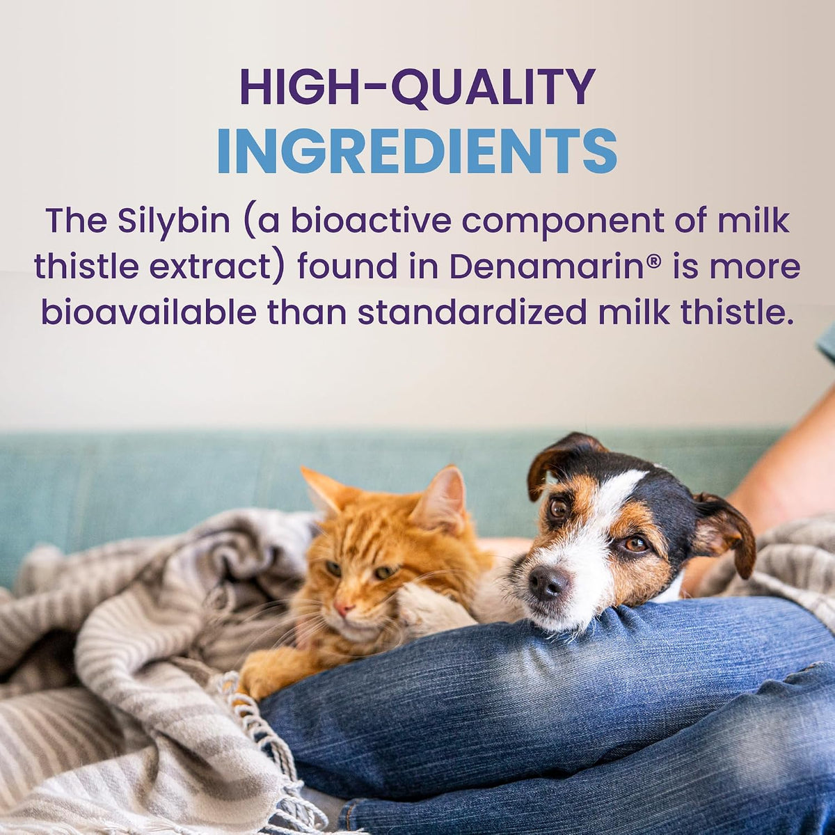 Nutramax Denamarin for Small Dogs and Cats, Liver Health Supplement with S-adenosylmethionine (SAMe) plus Silybin, Coated Tablets, 30 Tablets - görsel 4