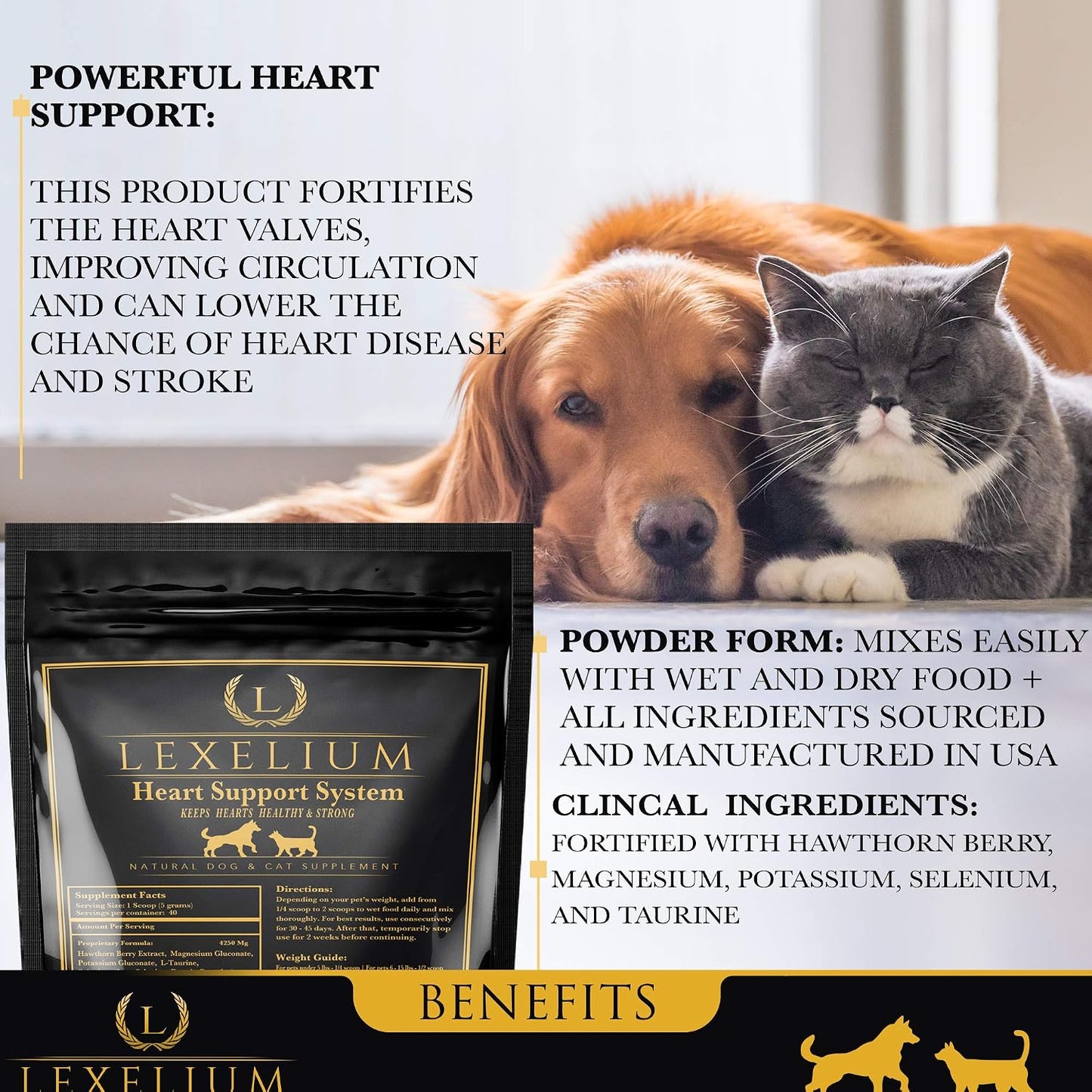 Lexelium Heart Supplement for Dogs and Cats - Taurine Powder for Cardiovascular Support - 200g - görsel 2