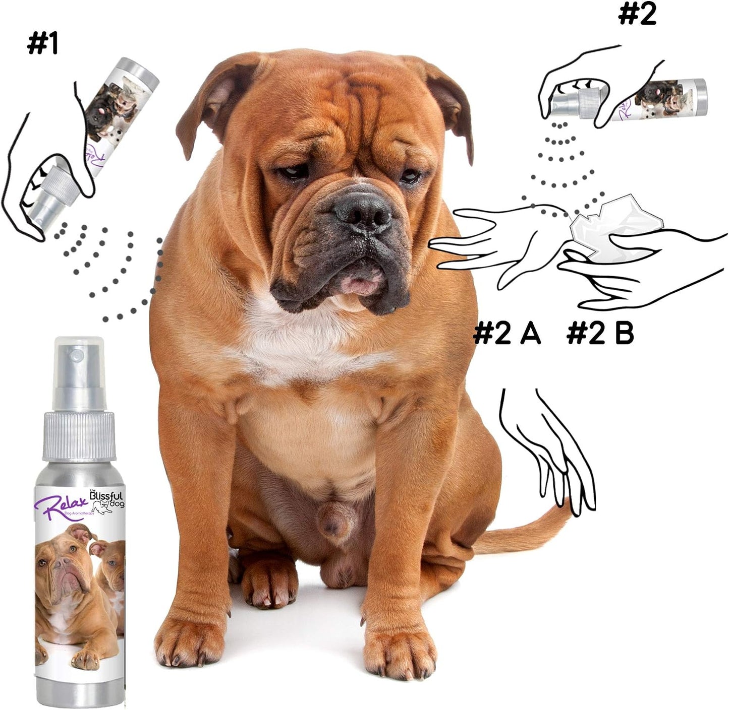 The Blissful Dog Olde English Bulldog Calm Aromatherapy Spray - görsel 4