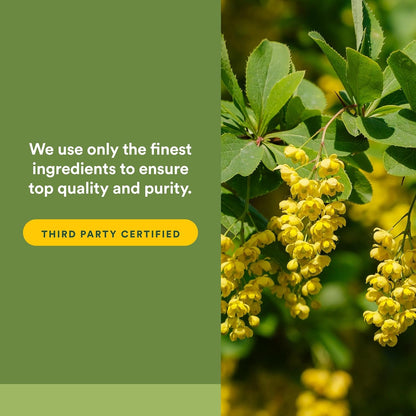 Natural Factors Berberine LipoMicel Matrix - 90 Liquid Soft gel capsules