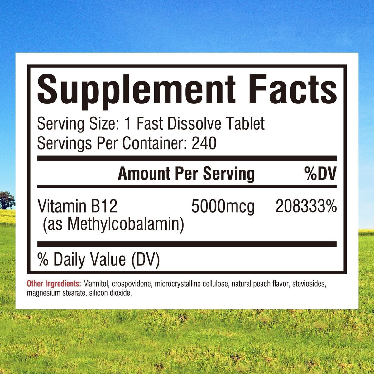 Innate Vitality Vitamin B12 5000mcg, Sublingual, Vegan Methylcobalamin, Fast Dissolve Tablets, Natural Peach Flavour, 240 Tablets - görsel 2