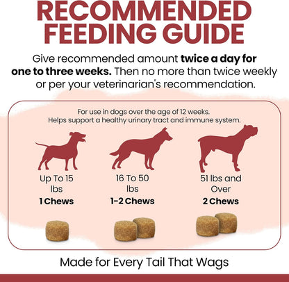 Chew + Heal Labs Cranberry Supplement for Dogs – Urinary Support, 120 Soft Chews