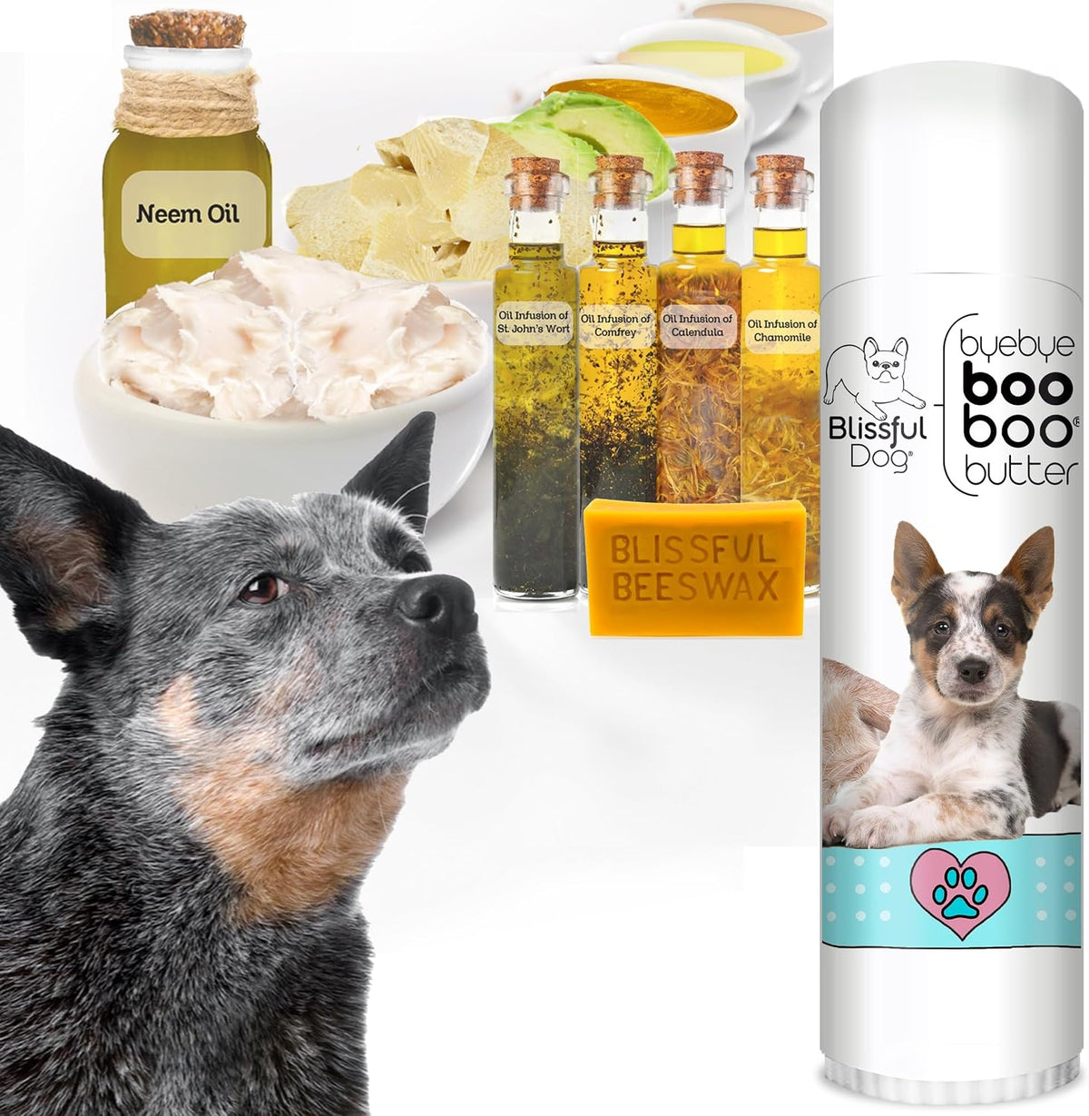 The Blissful Dog Booboo Butter – 14 g Tube - görsel 2