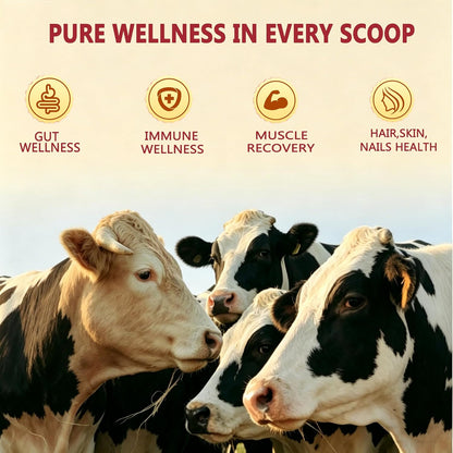 Core Bovine Colostrum Gummies – Grass-Fed Colostrum Supplement for Gut Health, Hair, Skin & Immune Support, Strawberry Flavour (60 Servings)