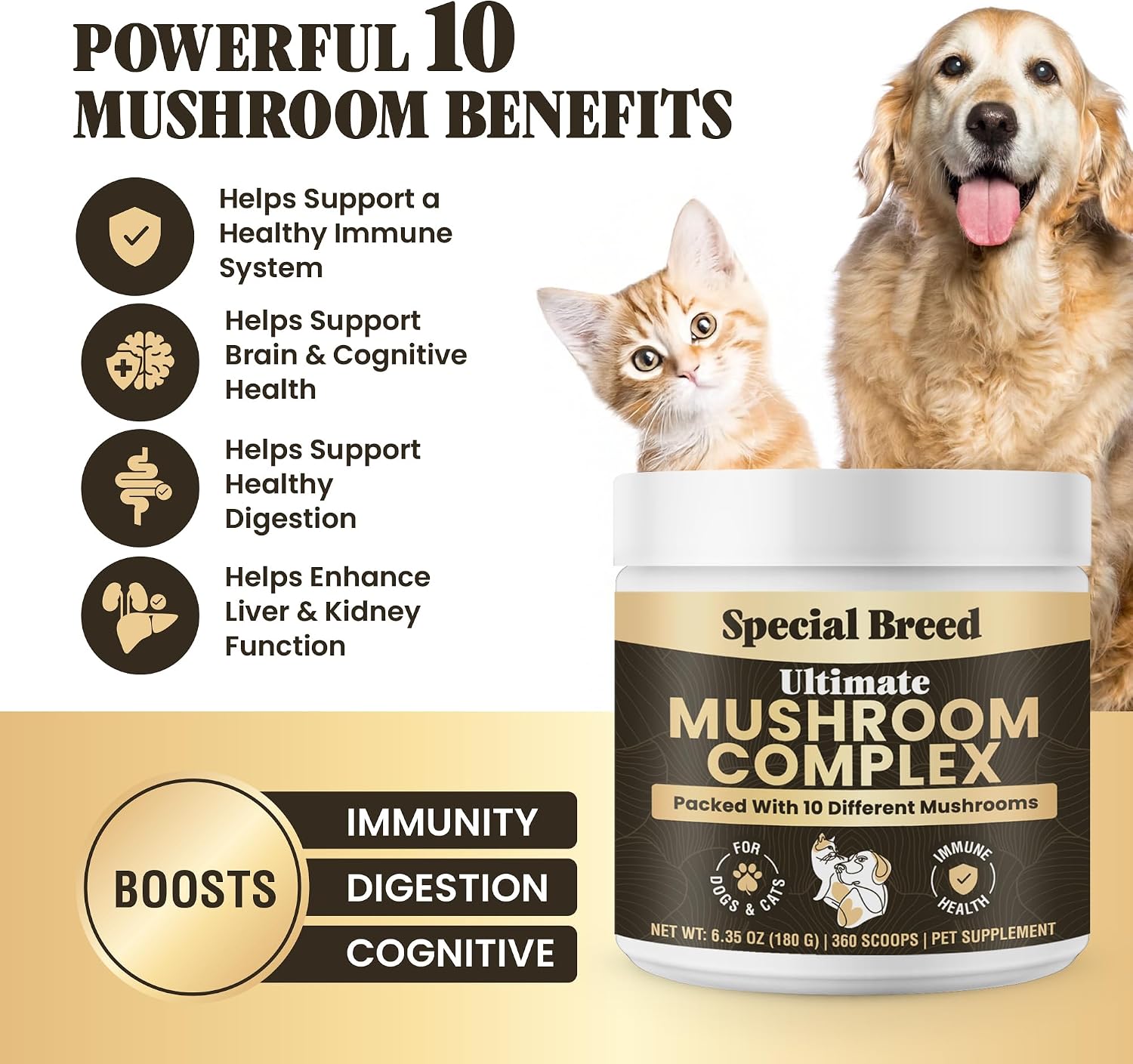 Mushroom Powder for Dogs & Cats - Organic Mushroom Complex for Immunity, Cognition, and Vitality by Special Breed - görsel 2