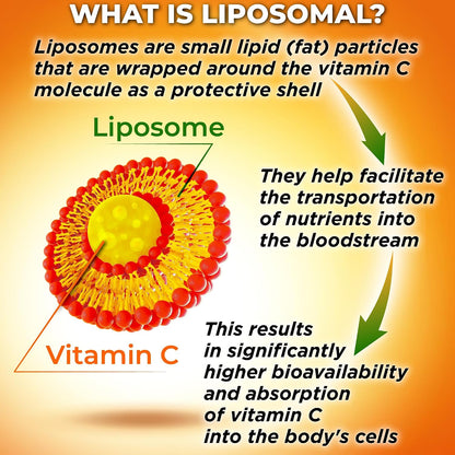 SUPPLEMENTS STUDIO Liposomal Vitamin C Capsules – 1500mg with Organic Acerola & Camu Camu – 180 Capsules – Image 4