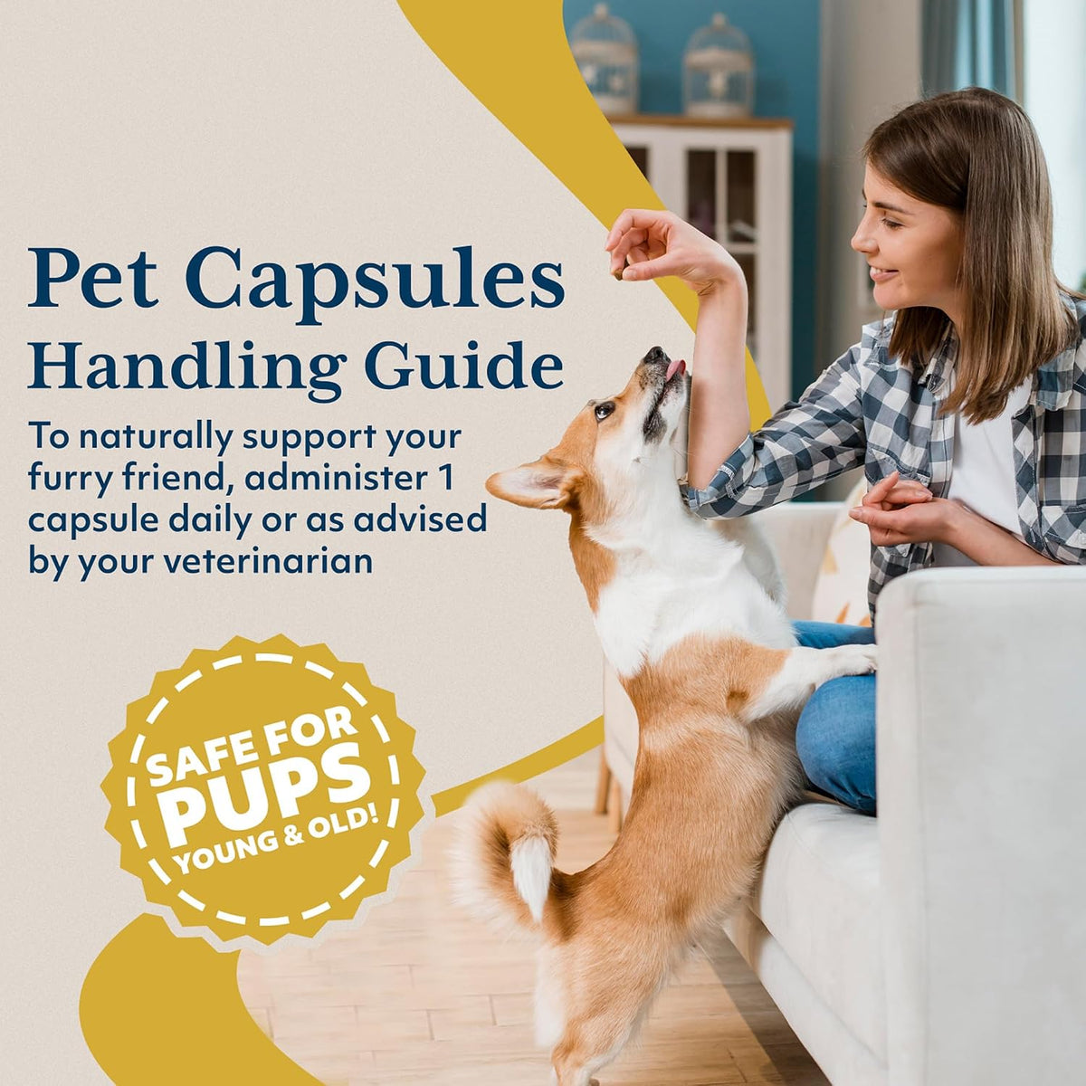 Ayush Pet Ashwagandha Capsules for Dogs & Cats - görsel 5