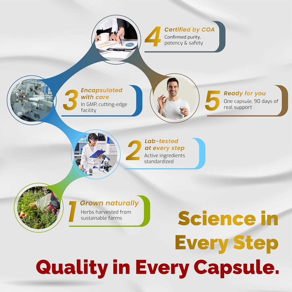 VEGATOT 6 in 1 High Strength Turkesterone with Maca Root, Fenugreek, Tribulus, Ginseng, and Vitamin D3 - 90 Capsules - görsel 2