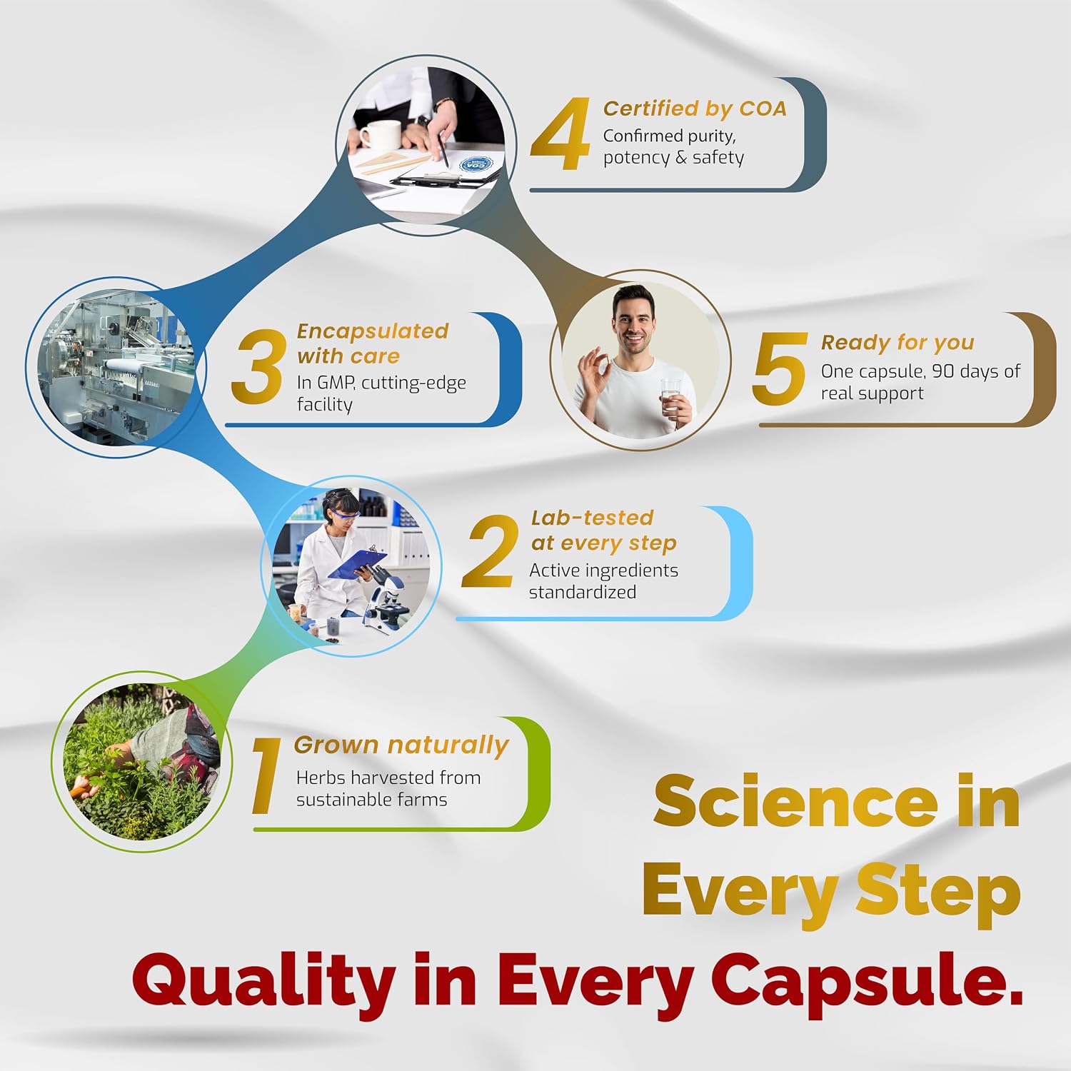 VEGATOT 6 in 1 High Strength Turkesterone with Maca Root, Fenugreek, Tribulus, Ginseng, and Vitamin D3 - 90 Capsules - görsel 2