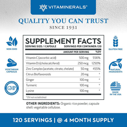 Vitaminerals Z D C - Zinc, Vitamin D3 & C Complex - 120 Vegetarian Capsules