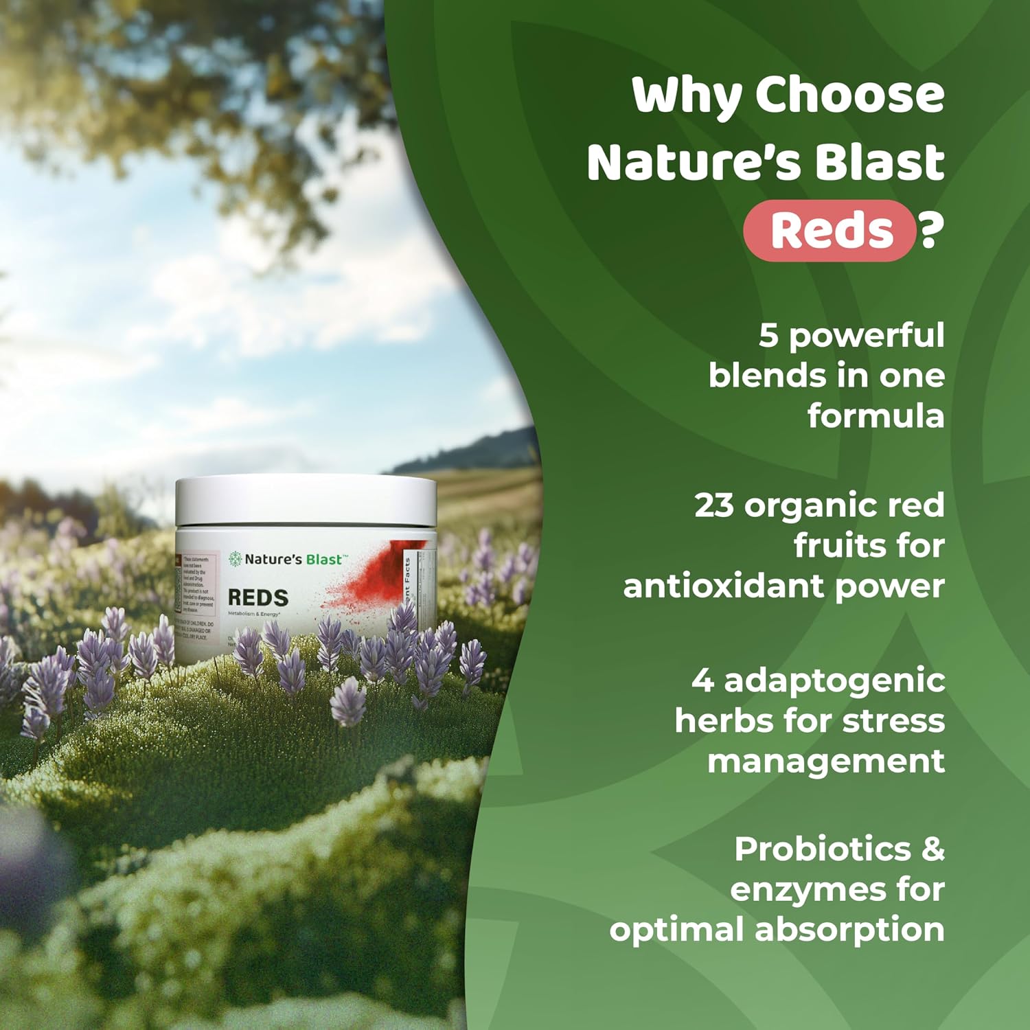 NATURES BLAST Reds - Metabolism and Energy Superfood Powder with 23 Red Fruits, 4 Adaptogens, Probiotics & Enzymes - Vegan Antioxidant Blend, 1 Bottle - görsel 6