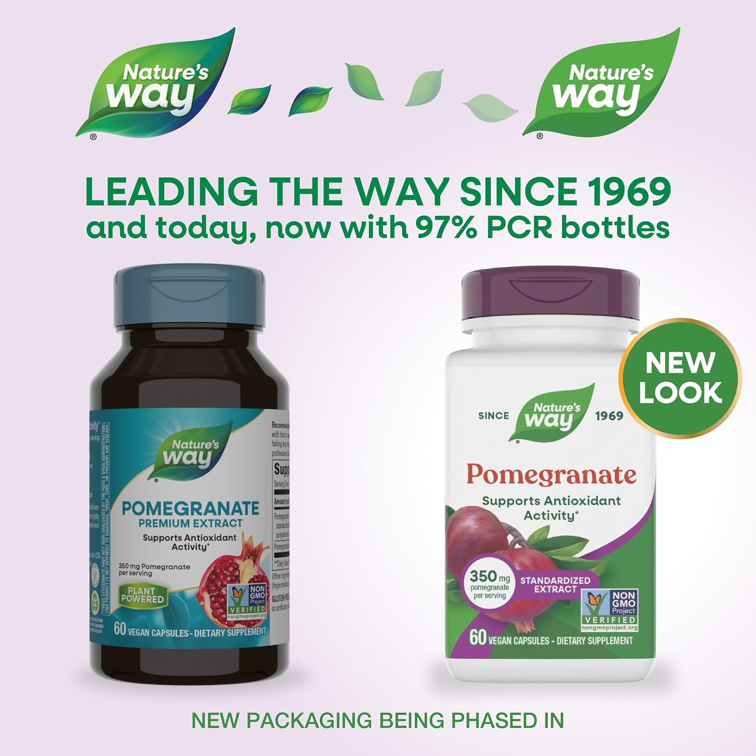 Nature's Way Pomegranate Standardised Extract - 350 mg, Antioxidant Support, 60 Capsules - görsel 2