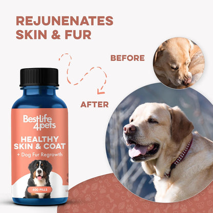 Natural Dog Skin and Coat Supplement – Gentle Itch Relief & Shedding Support – 400 Tiny Odourless Pills