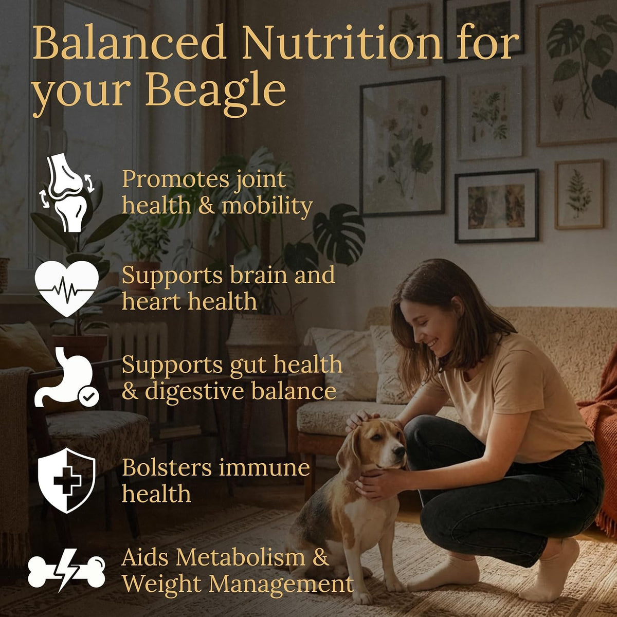 Prestige Breed Beagle Multivitamins, 90 Chewable Tablets with Real Bacon - Made in USA - görsel 2