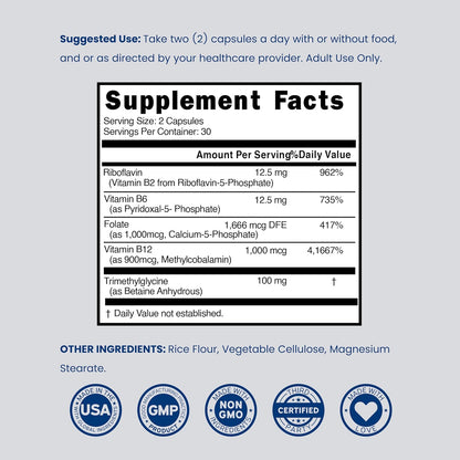 Methylated Multivitamin - Methylated B Complex with TMG and Methylfolate - Non-GMO, Gluten-free - 120 Capsules