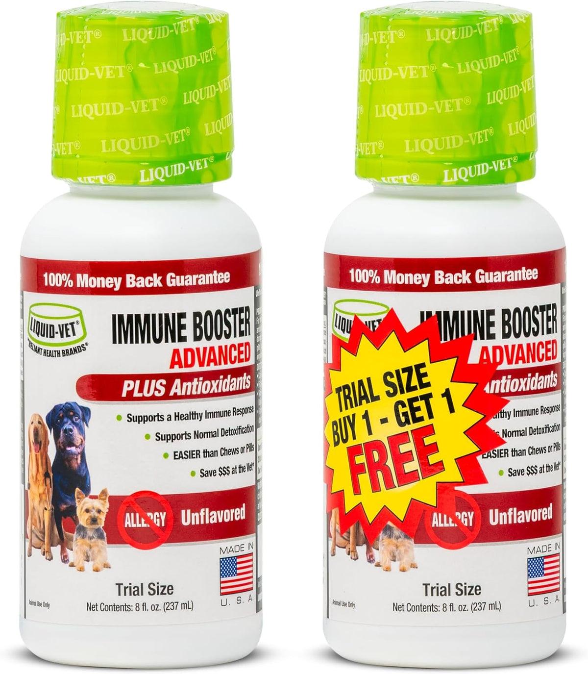 Immune Support for Dogs – Antioxidant & Gut Health – Inulin, Beta-Glucan & Omega-3s – Liquid for Picky Eaters - görsel 8