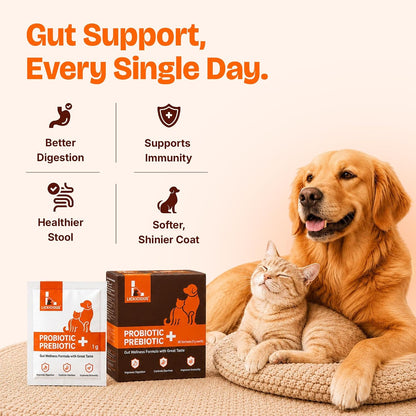 LICKICIOUS Probiotics for Dogs & Cats – Synbiotic Powder with 9.2 Billion CFU, 12 Strains, Prebiotics & Enzymes, 20 Sachets