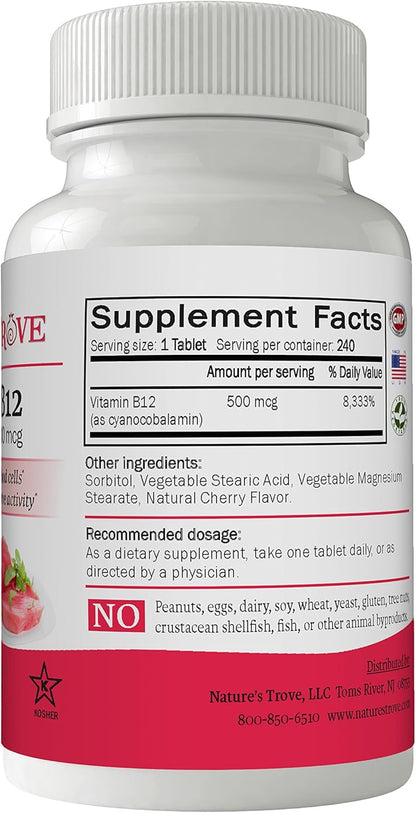 Vitamin B12 500 mcg by Nature's Trove - 240 EZ Chew Tablets Cherry Flavour
