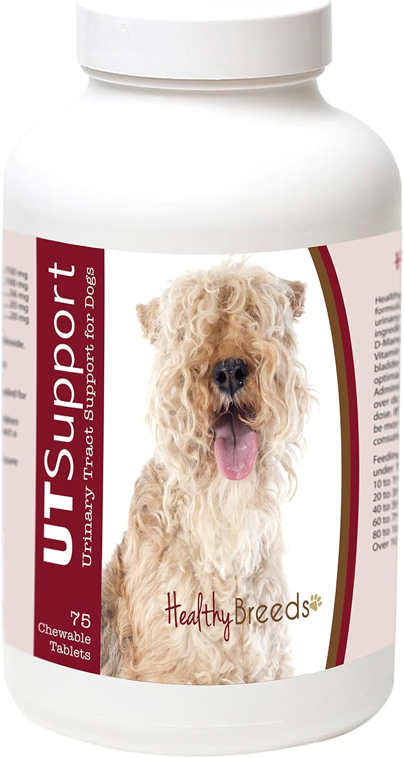 Healthy Breeds Cranberry Chewables for Dogs – Urinary Tract Support with Cranberry Extract – 75 Chews - görsel 1